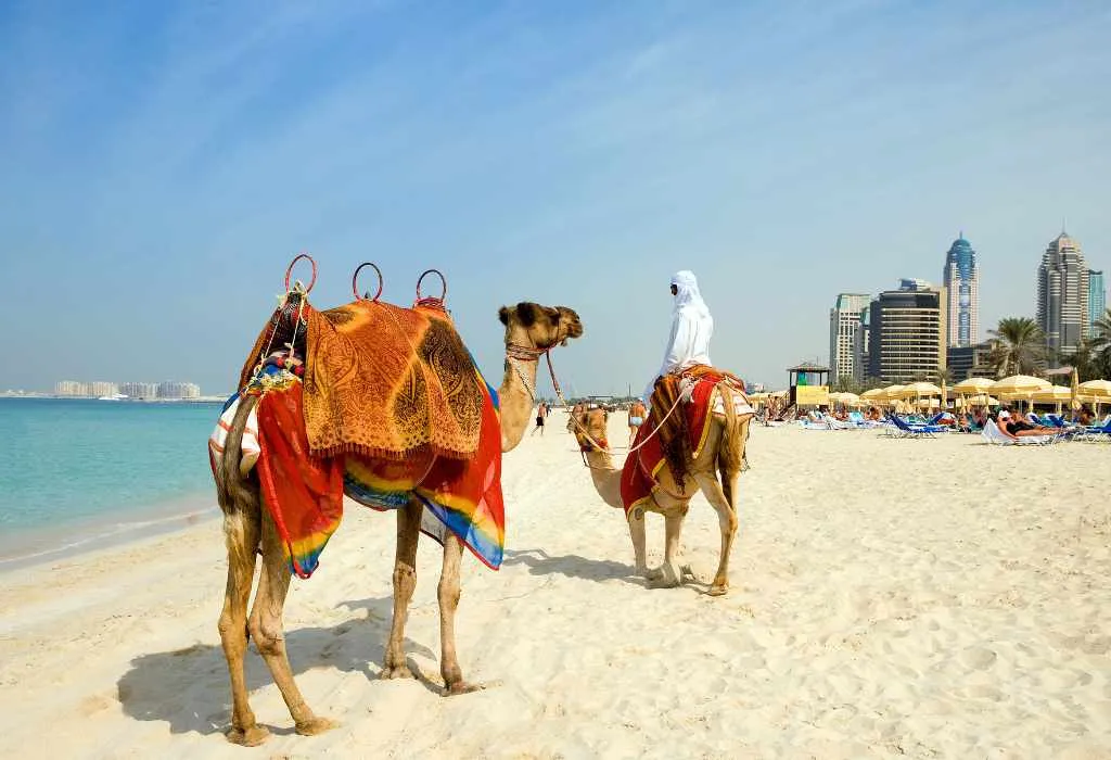 Turquia y Dubai mobile