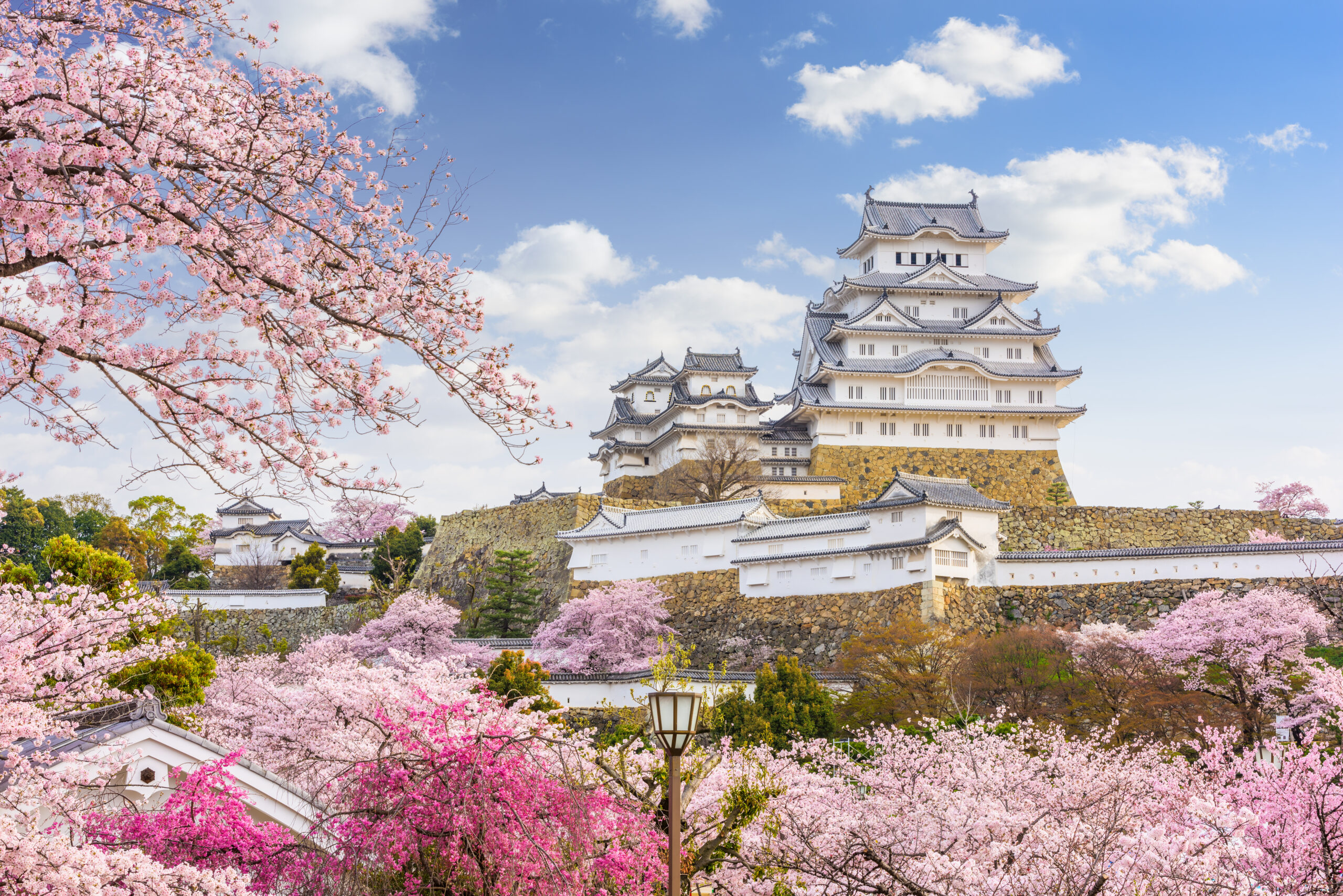 himeji castle japan in spring season 2025 03 24 00 13 49 utc scaled