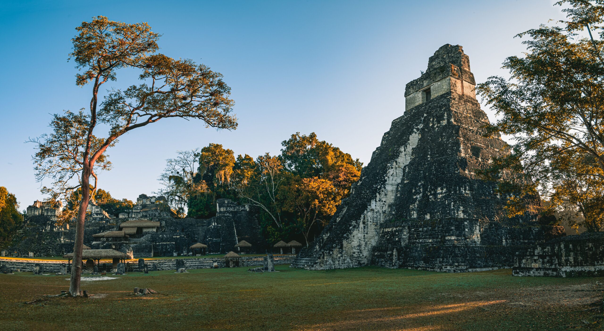 landscape of the ancient maya ruins in tikal flore 2025 02 03 11 45 04 utc scaled