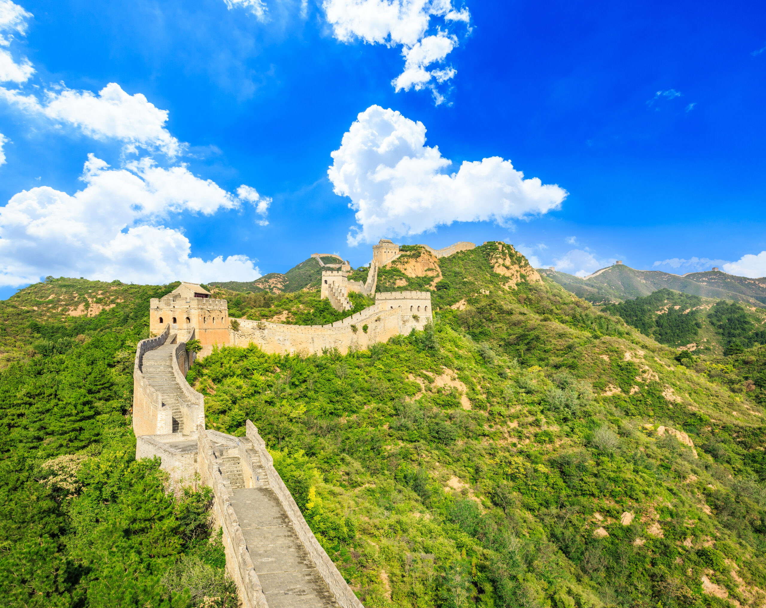 Viva China