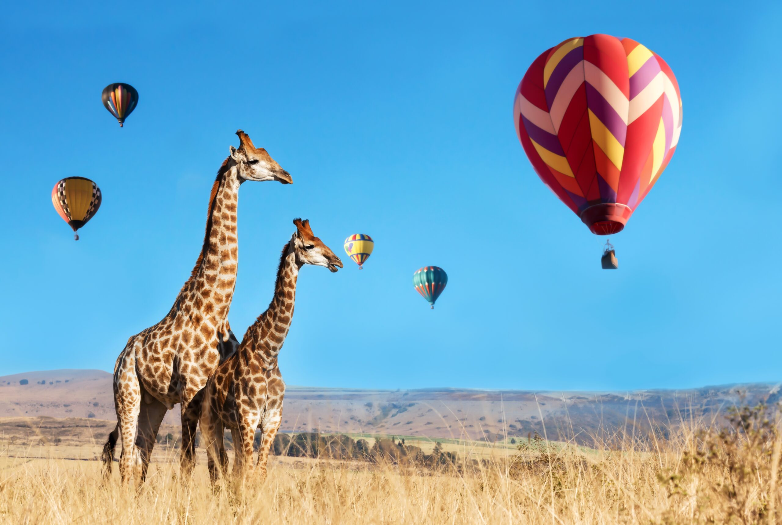 shutterstock 2523506963 scaled